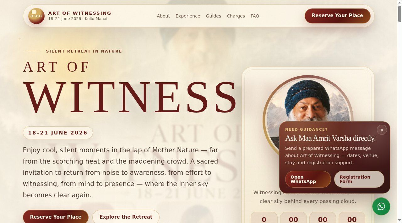Art of Witnessing interface capture